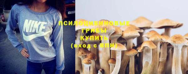 гашиш Няндома