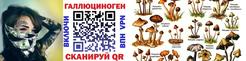 Псилоцибиновые грибы ЛСД Зима