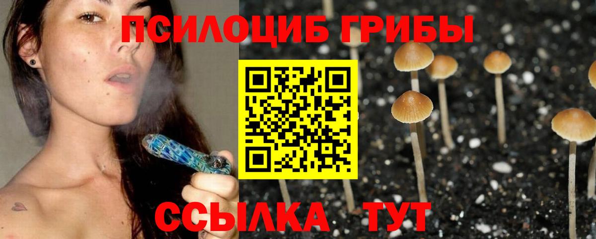 Псилоцибиновые грибы Psilocybine cubensis Зима